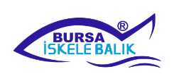 Bursa İskele Balık